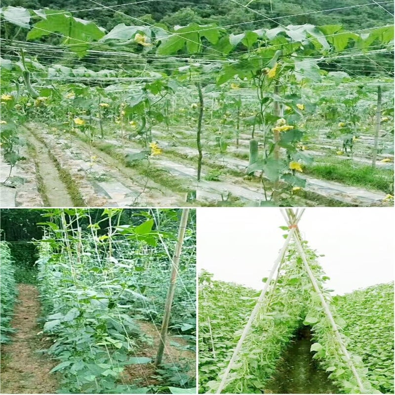 HHTHH White Trellis Netting 5x100 ft Heavy Duty Garden Trellis Netting Polypropylene Plant Support Garden Net for Climbing Vegetables Fruits Flowers - Image 4